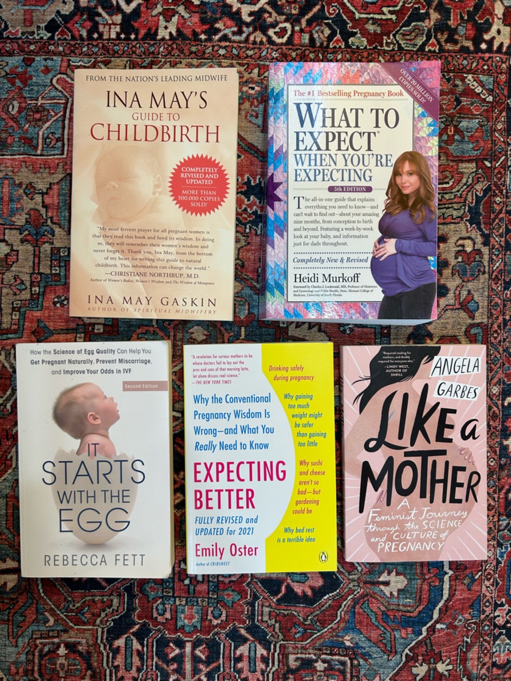 Amazon Pregnancy & Childbirth Book Bundle - BNOWT or EUC